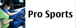 Pro Sports